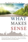 What Makes Sense : Success Stories to Model - eBook