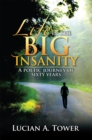 Life in the Big Insanity : A Poetic Journey of Sixty Years - eBook