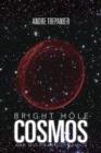 Bright Hole Cosmos : And Multi-Bang Dynamics - Book