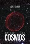 Bright Hole Cosmos : And Multi-Bang Dynamics - Book