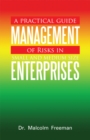 A Practical Guide - Management of Risks in Small and Medium-Size Enterprises - eBook