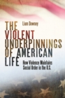 The Violent Underpinnings of American Life : How Violence Maintains Social Order in the US - eBook