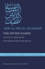 The Divine Names : A Mystical Theology of the Names of God in the Qur?an - Book