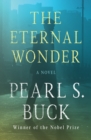 The Eternal Wonder : A Novel - eBook