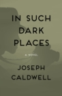 In Such Dark Places : A Novel - eBook