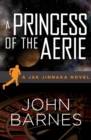 A Princess of the Aerie - eBook