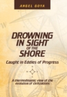 Drowning in Sight of the Shore : Caught in Eddies of Progress - Book
