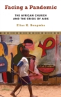 Facing a Pandemic : The African Church and the Crisis of AIDS - Book
