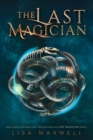 The Last Magician - eBook