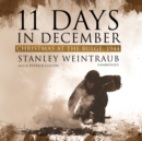 11 Days in December - eAudiobook