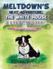 Meltdown's Next Adventure: the White House - eBook