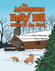 The Adventures of Holly Hill : Sticks in the Snow - eBook