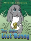 The Little Lost Bunny - eBook