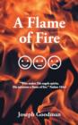 A Flame of Fire - Book