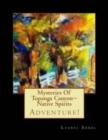 Mysteries Of Topanga Canyon~ Native Spirits - Book