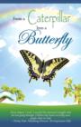 From a Caterpillar Into a Butterfly - Book