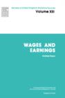 Wages and Earnings : Reviews of United Kingdom Statistical Sources - eBook