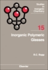 Inorganic Polymeric Glasses - eBook