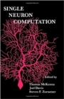Single Neuron Computation - eBook