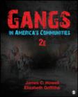 Gangs in America's Communities - Book