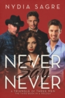 Never Say Never : A Triangle of Three Men The Third book in a Trilogy - Book