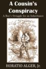 A Cousin's Conspiracy, a Boy's Struggle for an Inheritance - Book