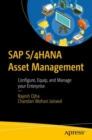 SAP S/4HANA Asset Management : Configure, Equip, and Manage your Enterprise - Book