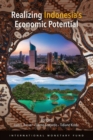 Realizing Indonesia's economic potential - Book
