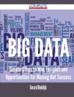 Big Data - Simple Steps to Win, Insights and Opportunities for Maxing Out Success - Book