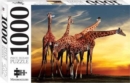 Giraffes, Open-air Zoo France 1000 Piece Jigsaw - Book