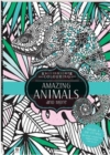 Kaleidoscope Colouring: Amazing Animals and More - Book