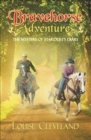 Brave Horse Adventures : The Mystery of Stardust's Diary - Book