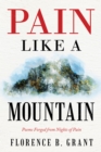 Pain Like a Mountain : Poems Forged from Nights of Pain - eBook