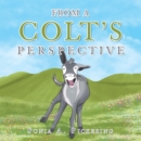 From a Colt's Perspective - eBook