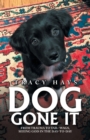 Dog Gone It : From Trauma to Tail-Wags, Seeing God in the Day-To-Day - Book