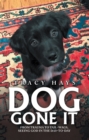 Dog Gone It : From Trauma to Tail-Wags, Seeing God in the Day-To-Day - eBook