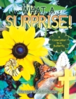 What a Surprise! : A Caterpillar to a Butterfly - Book