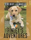 Finley's Adventures : 98 Good Times in New England and Beyond with a Faithful Companion - eBook