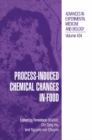 Process-Induced Chemical Changes in Food - eBook