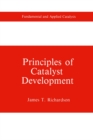 Principles of Catalyst Development - eBook