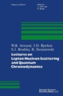 Lectures on Lepton Nucleon Scattering and Quantum Chromodynamics - eBook