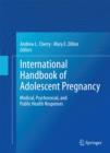 International Handbook of Adolescent Pregnancy : Medical, Psychosocial, and Public Health Responses - eBook