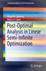Post-Optimal Analysis in Linear Semi-Infinite Optimization - eBook