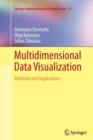 Multidimensional Data Visualization : Methods and Applications - Book