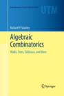 Algebraic Combinatorics : Walks, Trees, Tableaux, and More - Book