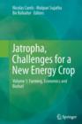 Jatropha, Challenges for a New Energy Crop : Volume 1: Farming, Economics and Biofuel - Book