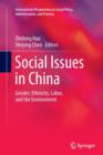 Social Issues in China : Gender, Ethnicity, Labor, and the Environment - Book