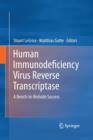 Human Immunodeficiency Virus Reverse Transcriptase - Book
