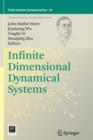 Infinite Dimensional Dynamical Systems - Book