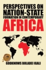 Perspectives on Nation-State Formation in Contemporary Africa - eBook